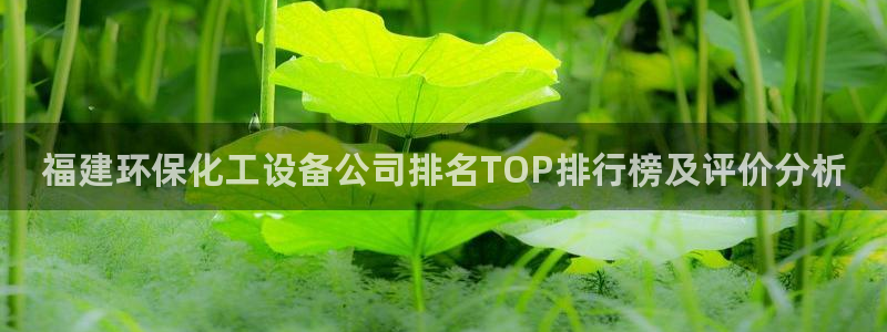 亿万官网字幕：福建环保化工设备公司排名TOP排行榜及评价分析